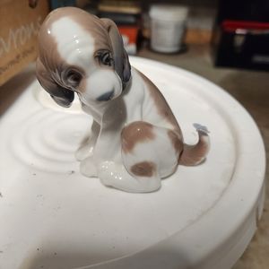 Llardo Gentle Surprises